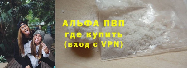 спайс Богданович