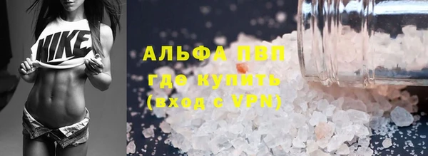 спайс Богданович