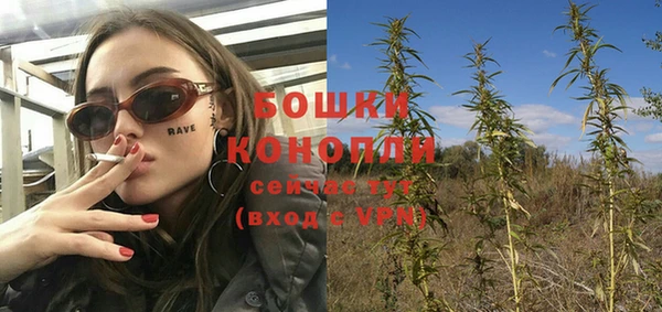 спайс Богданович