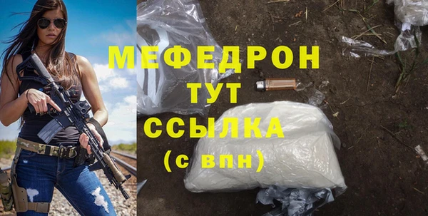 spice Дмитриев