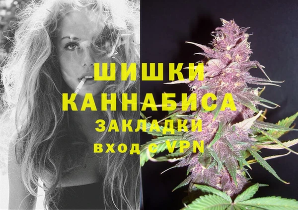 2c-b Богородск