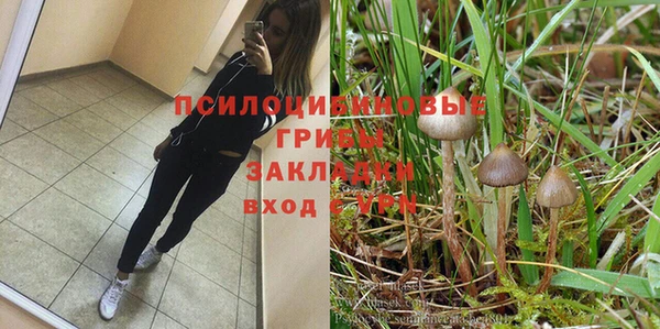 спайс Богданович