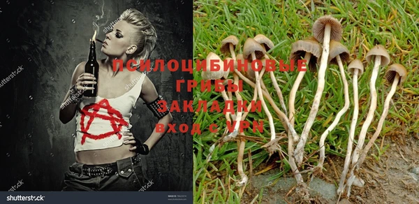 гашиш Богородицк