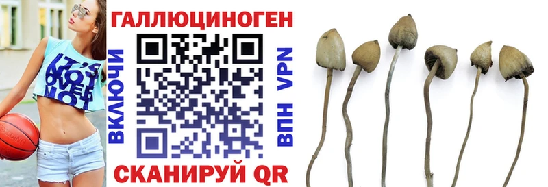 продажа наркотиков  Рыбинск  Псилоцибиновые грибы мицелий 
