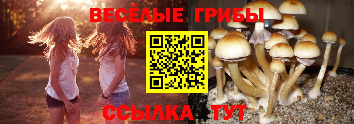Псилоцибиновые грибы мухоморы  где продают   Рыбинск  Вход с VPN  Галлюциногенные грибы мицелий 